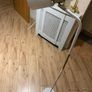 lamp Image 2
