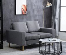 2 Seater Sofas for Living Room, Fabric Couch, Love Seat with Cushions and Steel Legs
