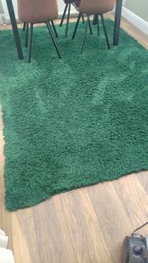 Shaggy Rug