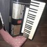 Rare Old Weltmeister Bass Accordion 1960s With Case Image 3