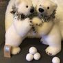 Polar Bear Decoration Image 2