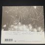 Pernice Brothers - Yours, Mine & Ours (Irish Press) Image 5