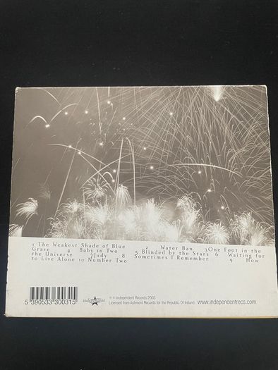 Pernice Brothers - Yours, Mine & Ours (Irish Press)