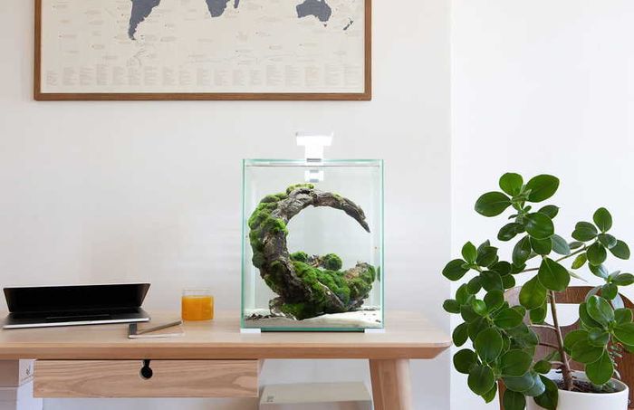Aquael Shrimp Set Smart Day&night 30 White