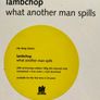 Lambchop - What Another Man Spills Limited Edition Reissue COLOURED 2 x Vinyl LP Image 3