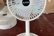 fans