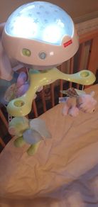 Fisher price carousel