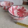 MADOWS & BYRNE PORCELAIN Dishwasher & Microwave Safe Tola Sakura breakfast bowl Set of 2. Image 6