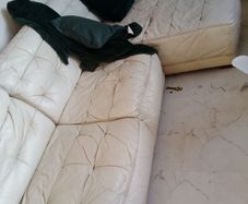 l shaped sofa