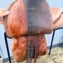 County Saddlery Stabilizer Show Jumping Saddle Made in England Image 3