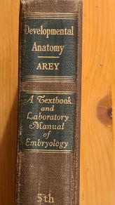 Developmental Anatomy. A Text Book And Laboratory Manual Of Embryology. By Lesliebrainerad. Fifth Edition. Large Volume Hardback Book. In Good Condition.