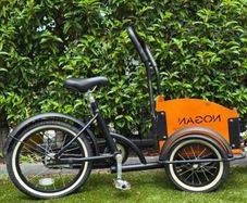 Kids transport cargo Tricycle