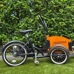 Kids transport cargo Tricycle