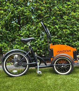 Kids transport cargo Tricycle