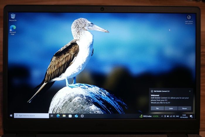 Laptop Dell Vostro 3500 Win11 8gb Ram 256gb Ssd I5-1135g7 Cpu