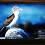 Laptop Dell Vostro 3500 Win11 8gb Ram 256gb Ssd I5-1135g7 Cpu Image 8