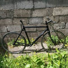 bycicle