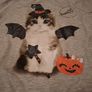 Girls halloween top and leggings set 6-8 yrs Image 3