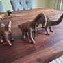 Dinasaurs Image 3