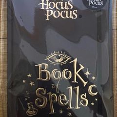 Disney Hocus Pocus A5 notebook