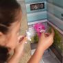 Kidkraft Purrfect Pet Hotel Image 6
