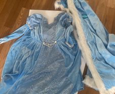 Halloween costume Elsa