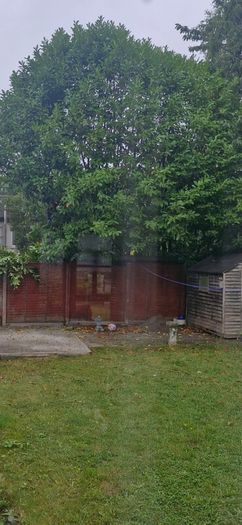 Garden services