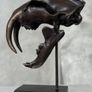 Sabre-Tooth Tiger Skull  - Bronze, Metal Stand, Signed Image 5
