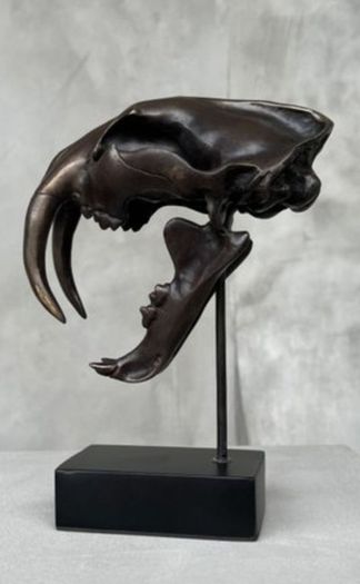 Sabre-Tooth Tiger Skull  - Bronze, Metal Stand, Signed