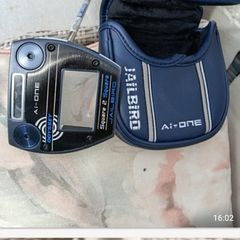 Ai-jailbird putter