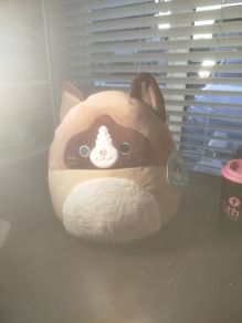 squishmallow