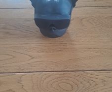 black bulldog speaker