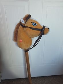 Hobby horse