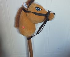 Hobby horse