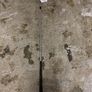 Tommy armour signature 5 iron Image 4