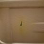 Large White Suitcase Image 9