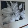 Large Original Framed Pencil / Graphite Drawing Image 8