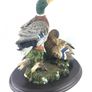 Extremely large Mallard ducks sculpture by Country Artists Image 4