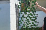 garden trellis