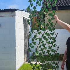 garden trellis
