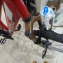 Bicycle Image 3