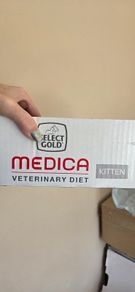 Kitten Medica wet food