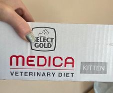 Kitten Medica wet food