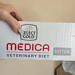Kitten Medica wet food
