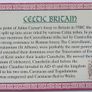 Celtic coins - Irish History Reproduction Coins Image 5