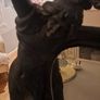 Art Nouveau Style Table Mirror Image 3
