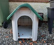 dog house