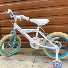 bike for girls 14''