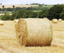 4X4 Bales Barley Straw.Open to offers for lot