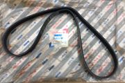 Auxilary Belt (Fiat Ducato 1.9)